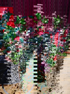 Promote Arts & Cultural Assets