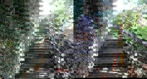 Paths & Cycle Networks