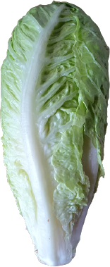 Lettuce Romaine Heart