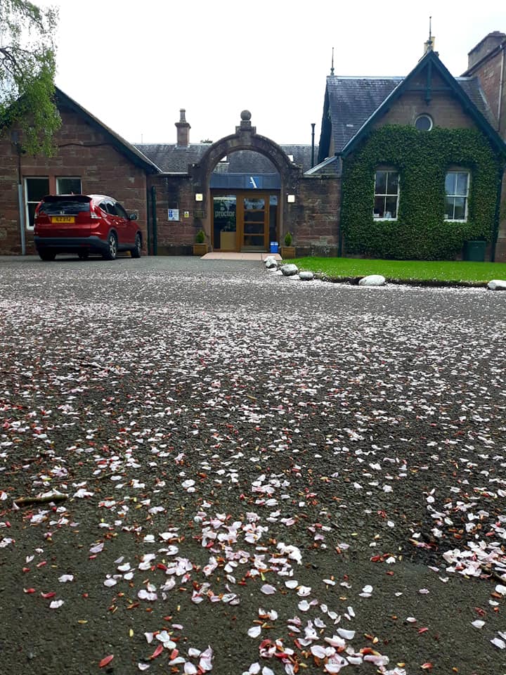 A. Proctor Group Ltd