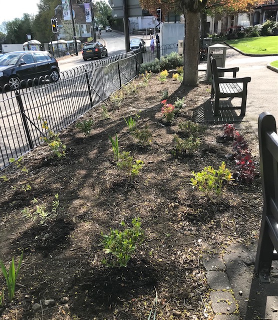 Wellmeadow Replanting